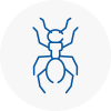 Ant Removals In Abergavenny