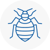 Bed Bug Extermination In Abergavenny