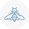 Bee Nest Removal Abergavenny