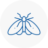 Moth Control Specialists In Abergavenny